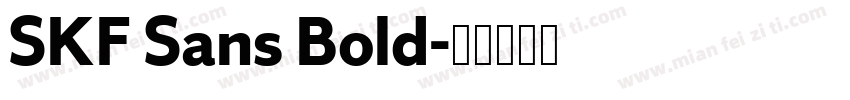 SKF Sans Bold字体转换